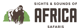Uganda safaris and tours | Gorilla Trekking | Wildlife Safari | African Safari